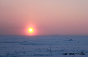The January midday sun Tammikuun keskipäivän Aurinko